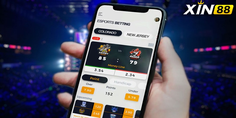 Bet thủ nên chọn hình thức cá cược Esports Live Betting